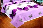Printed Double Bedsheet with 2 Pillow Covers 