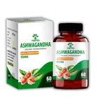 Ksm 66 Ashwagandha Capsules 