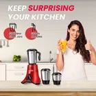 Bluemix Smart 700 W Mixer Grinder  