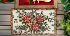 PVC Placemats for Dining Table 