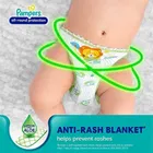 पेम्पर्स डायपर पैंट्स 