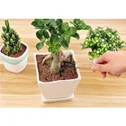 Immutable Garden Tools for Home Gardening Set, Gardening Trowel, Garden Fork, Wooden Handle 