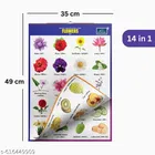 English-Hindi Learning Chart for Kids 