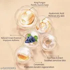3 In 1 Palette Full Coverage | Hides Blemishes, Flaws & Dark Circle | Long-Lasting,...