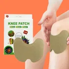 Knee Pain Relief 10 Pcs Heating Patch 