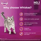 Whiskas Dry Adult Ocean Fish Cat Food 480g