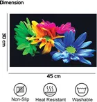 PVC Printed Dining Table Placemats 