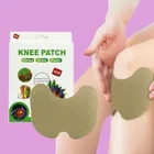 Knee Pain Relief 10 Pcs Heating Patch 
