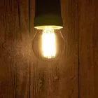 Immutable Tungsten Filament G45 4W LED Bulb 