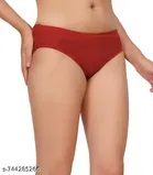 Nylon Briefs for Women, Multicolour, Pack of 4 