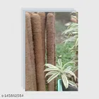 Wooden Moss Stick (Brown, 3 feet) (Pack of 3)