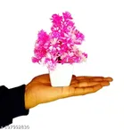 Artificial Plants with Pot 