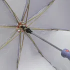 CITIZEN 2 Fold Umbrella for Men and Women  