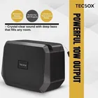 TecSox Blast Pro 10W Bluetooth Speaker