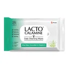 Lacto Calamine Daily Cleansing Wipes (25 N)