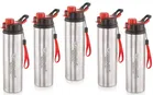 Stainless Steel Insulated Single Wall Water Bottle 