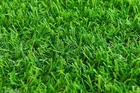 Artificial Grass Doormat 