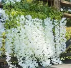 Artificial Wisteria Vine Garland for Women, Pack of 6 