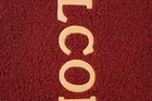 Arch Fab PVC Welcome Door Mat 