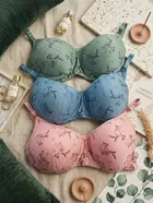 Padded Full Coverage Bra for Women, Pack of 3 
