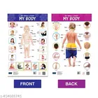 Bookford Publications My small chart Alphabet, Numbers & My Body 