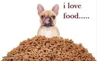 Dogs and Puppy Biscuits, Specially for Treat ,250gm, 