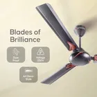 Longway Creta P1 1200 mm 3 Blade Ceiling Fan  