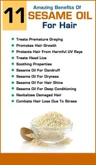 Park Daniel Sesame Oil Pure & Natural 