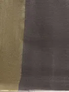 SVB चंदेरी सिल्क साड़ी 