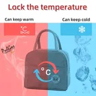 Insulated Tiffin & Lunch Bag 