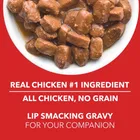 Drools Puppy Wet Dog Food, Real Chicken and Chicken Liver Chunks in Gravy,6 Pouches 