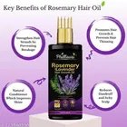 Phillauri Rosemary & Lavender Hair Oil 