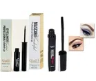 Wonderful Professional Makeup Waterproof Eyeliner (5 ml) with Mascara (10 ml) (Set of 2)