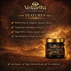 Pure Shilajit Resin 20G | Boost Performance, Power, Stamina, Strength, Pack Of 1