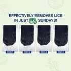 Mediker Anti Lice Combo, Anti lice Shampoo 50 ml 