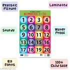 Bookford Publications My small chart Alphabet, Numbers & Transport 