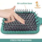 Majestique Paddle Brush with A Large Cushion 