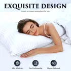 Continental Filled Stripe Pillow 16X26Inch Pack Of 1