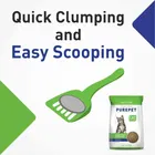 Purepet Clumping Lavender Fragrance Cat Litter 