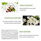 Lotus Herbals Whiteglow Day And Night Pack with Face Wash | 220g