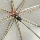 CITIZEN Black Nylon Umbrella 2 Fold Auto Open & Close Premium Umbrella for Travel 