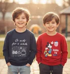 Round Neck Printed Wool Sweat Shirt For Boys, Multicolour 