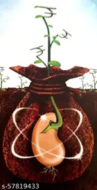 OEHB Neem Cake with Mustard Oil Cake Fertilizer 