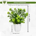 Fancymart Artificial Plant Corriender Leaves In Pot Perfect Potted Decoration For Home Living Room & Office Spaces Height - 30Cm