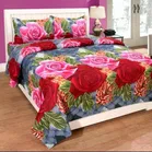 Printed Double Bedsheet with 2 Pillow Covers 