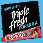 Closeup Toothpaste 150 g