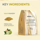 Spring H2O 24 Carat Gold Facial Kit 