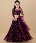 Net Embroidered Semi Stitched Lehenga for Girls 