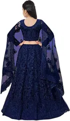 Net Embroidered Semi Stitched Lehenga for Girls 