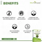 Attar Ayurveda Indigo Powder 